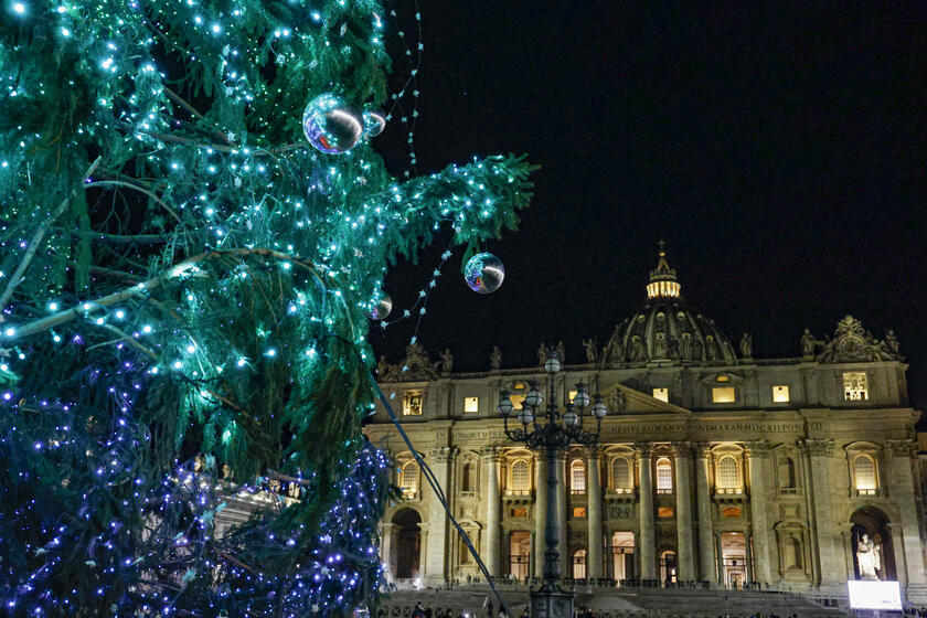 Accensione albero di Natale a San Pietro - RIPRODUZIONE RISERVATA